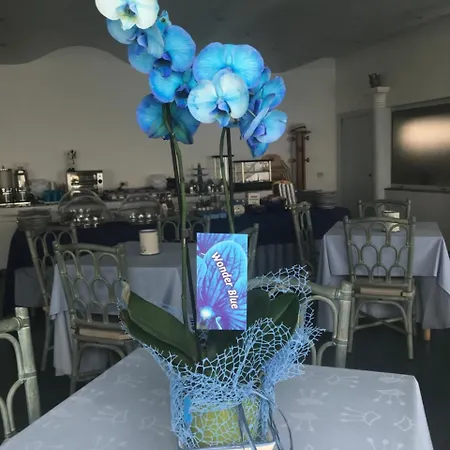 Hotel Hotel Holiday Praiano