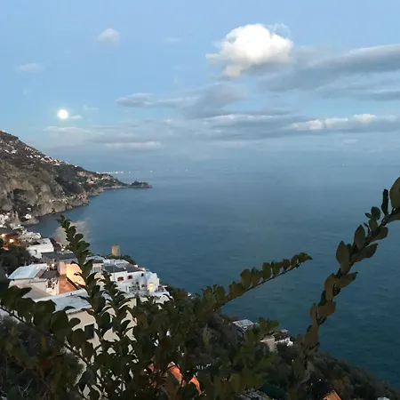 홀리데이 프라이아노