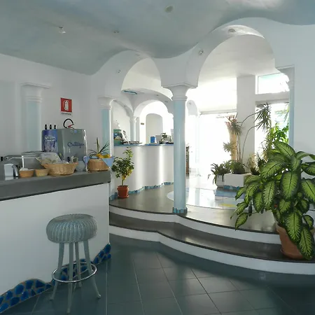 Hotel Hotel Holiday
