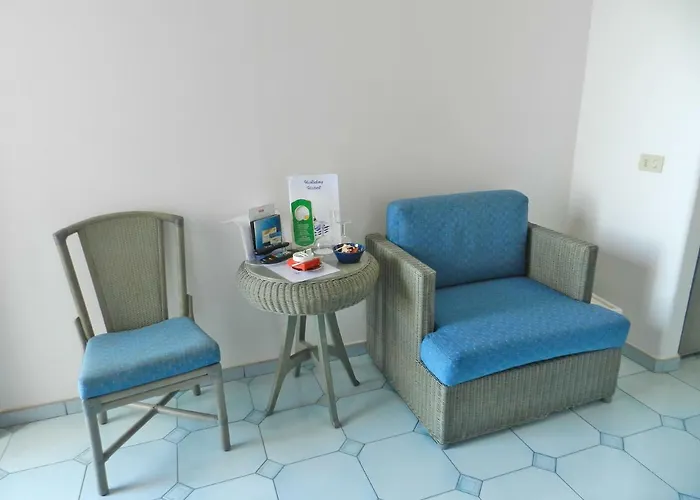 酒店 假日酒店 普莱亚诺