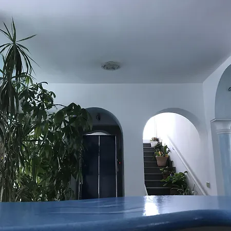 Hotel Holiday 3*